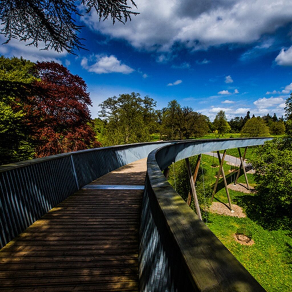 Bridge at westonbirt arberitum